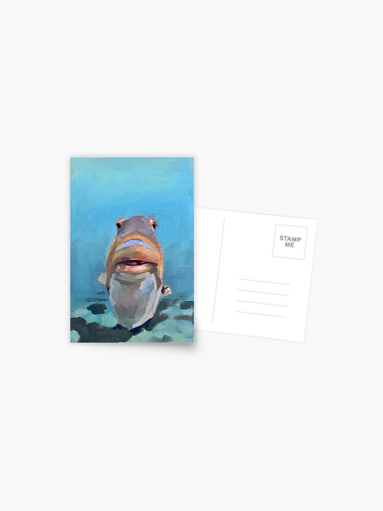 Staring Fish | Postcard