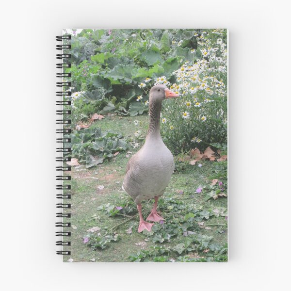 Item preview, Wildlife at St James's Park designed and sold by jessicao4469.