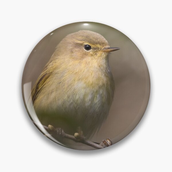 Item preview, Chiffchaff designed and sold by LaurenTucker.