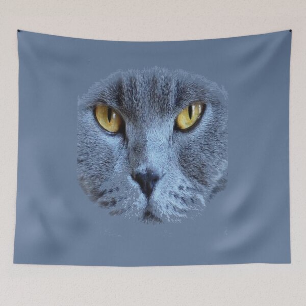 Item preview, Russian Blue Big Face Cat Feline Pet Cute designed and sold by Draculaura2009.