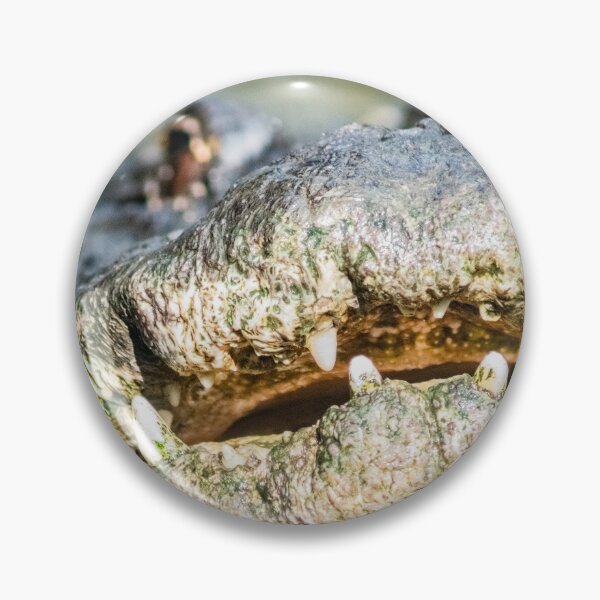 Item preview, Big Smiling Alligator designed and sold by KensLensDesigns.