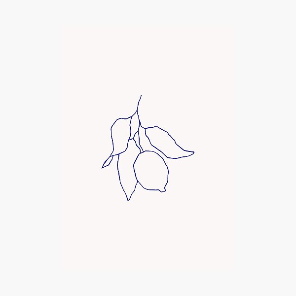 Blue botanical lemon painting - Ink B Photographic Print