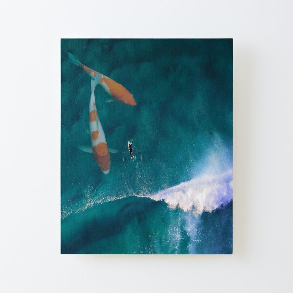 Surfing with Koi fish Canvas Mounted Print