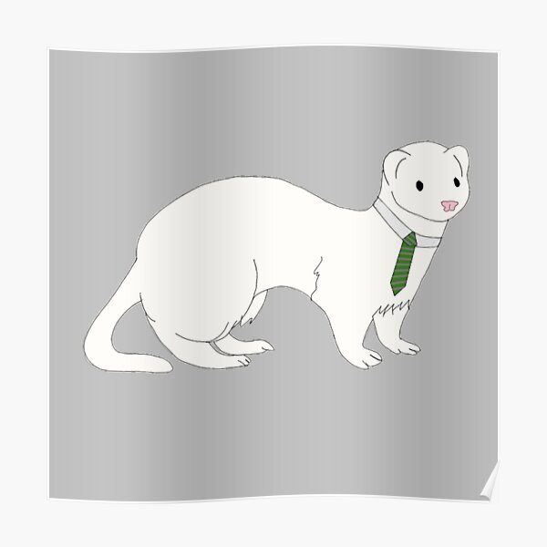 Draco Malfoy en furet Poster