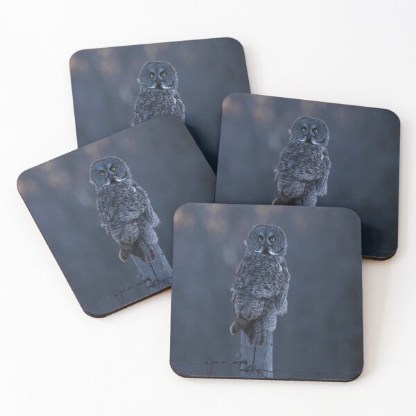 Item preview, Great Gray Owl at dusk designed and sold by locustgirl.