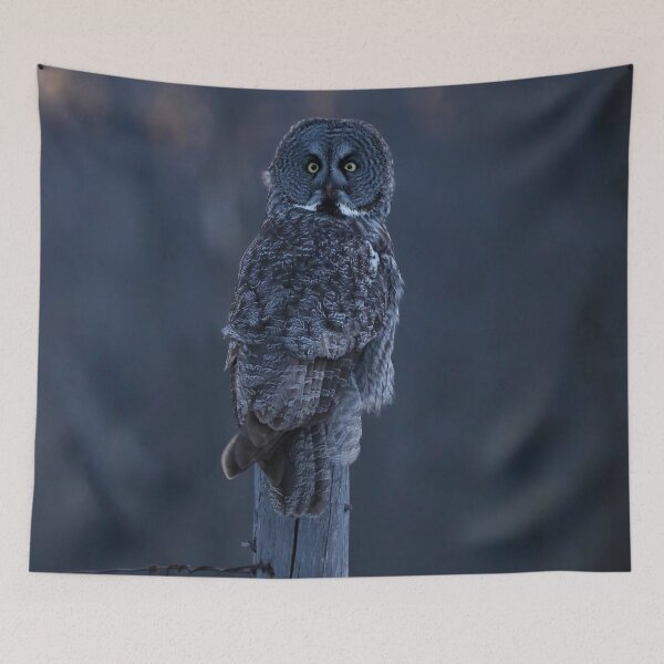 Item preview, Great Gray Owl at dusk designed and sold by locustgirl.