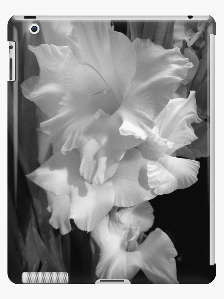 Funda y vinilo para iPad «GLADIOLAS BLANCAS EN NEGRO Y BLANCO» de  elainebawden | Redbubble