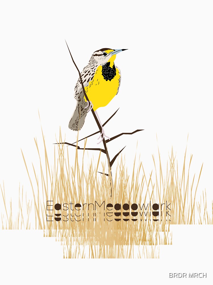 Eastern Meadowlark by PRBY
