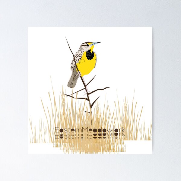 Eastern Meadowlark Poster