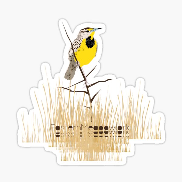 Eastern Meadowlark Sticker