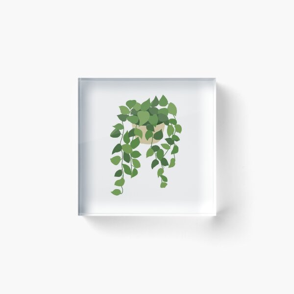 Item preview, Pothos Plant designed and sold by hilwal.