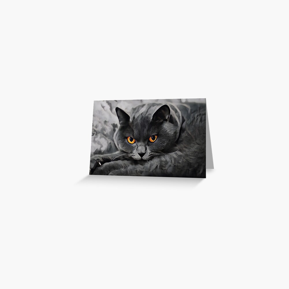 British Shorthair Kittens Orange Eyes Paws Blank Greeting Card With Envelope