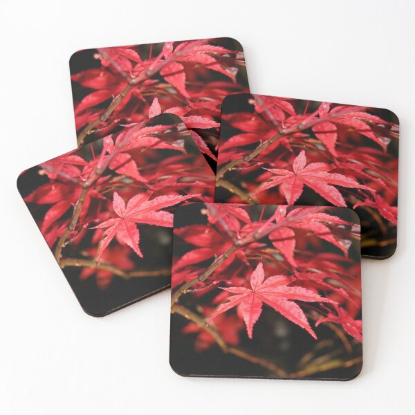 Item preview, Kyoto Fall designed and sold by ardwork.