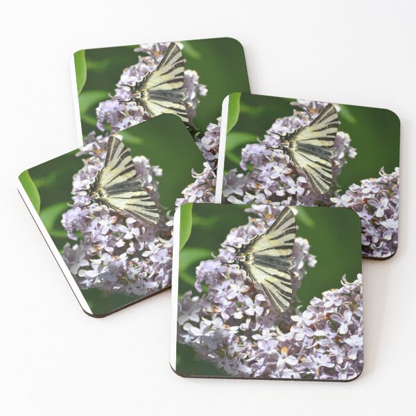 Item preview, Foto de una flor y una mariposa designed and sold by itsfunny.