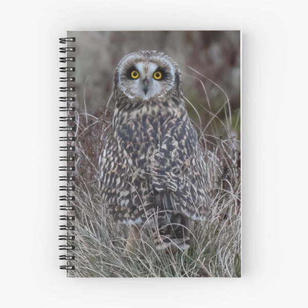 Item preview, short eared owl  designed and sold by tammy mellor.