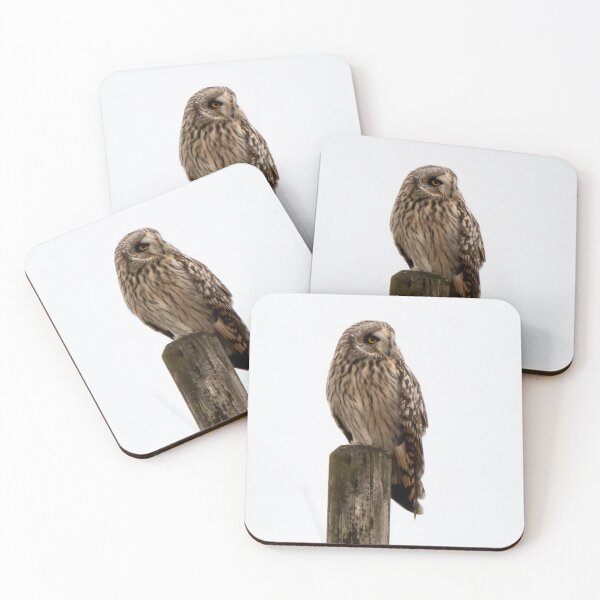 Item preview, short eared owl on  a post designed and sold by tammy mellor.