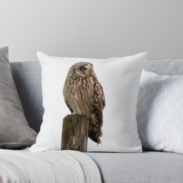 Item preview, short eared owl on  a post designed and sold by tammy mellor.