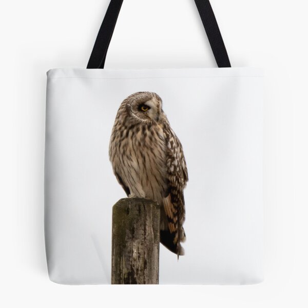 Item preview, short eared owl on  a post designed and sold by tammy mellor.