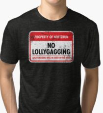 Whiterun Municipal Ordinance Tri-blend T-Shirt
