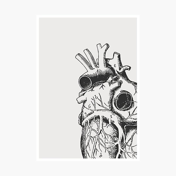 Anatomical Heart • Large Print • Goth Art Photographic Print