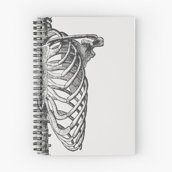 Item preview, Anatomical Ribcage • Large Print • Goth Art designed and sold by Rike Mayer.