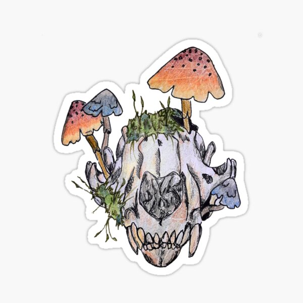 Cottagecore Raccoon Aestethic Mushrooms Cute Trash Sticker