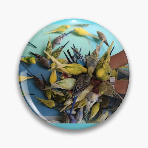 Item preview, budgerigar designed and sold by AlfordsStore.