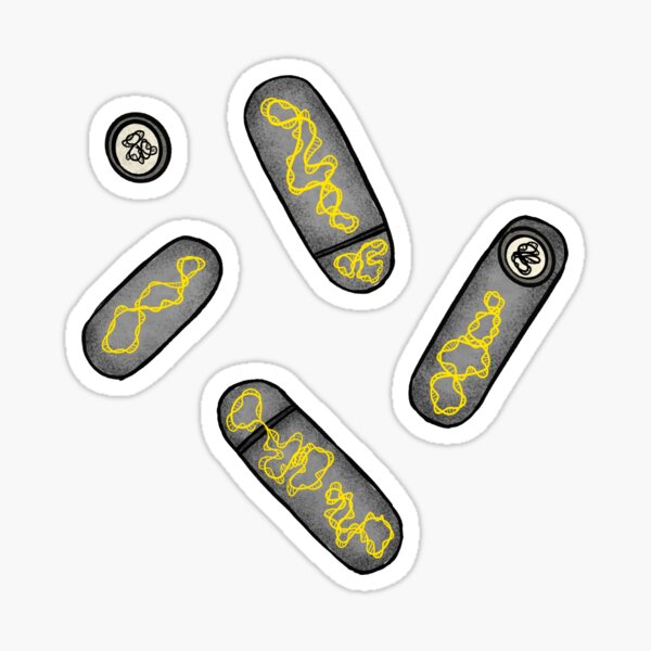 Bacillus subtilis Sticker