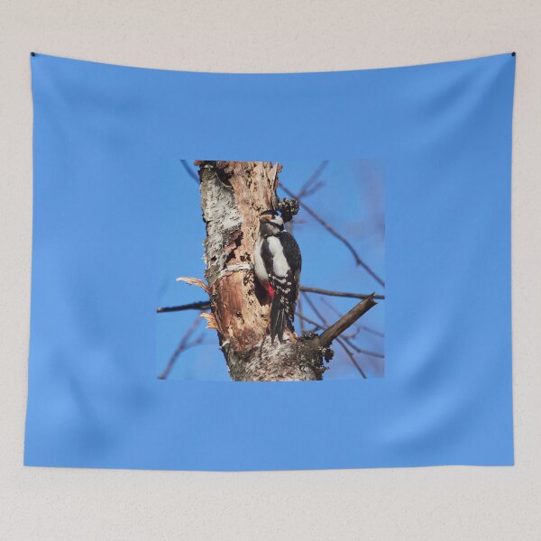 Item preview, The Angry face. Great spotted woodpecker designed and sold by Jouko Lehto Photography.