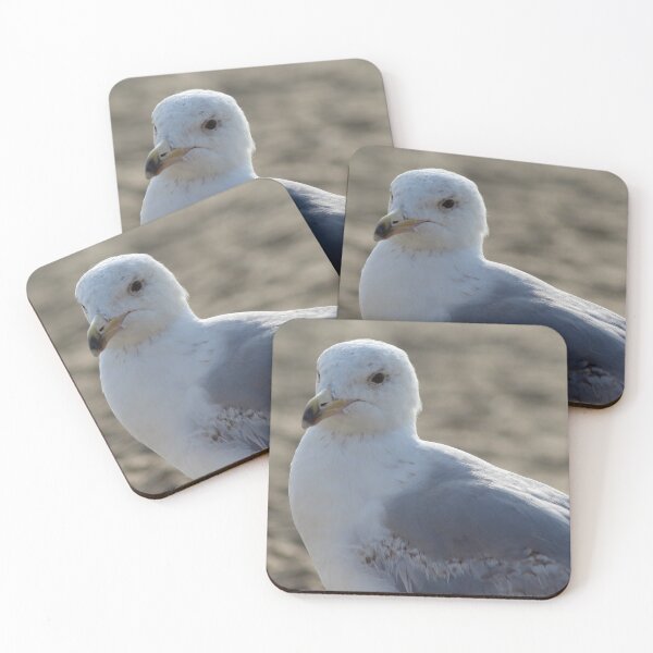 Item preview, Seagull designed and sold by Marije Kouyzer.