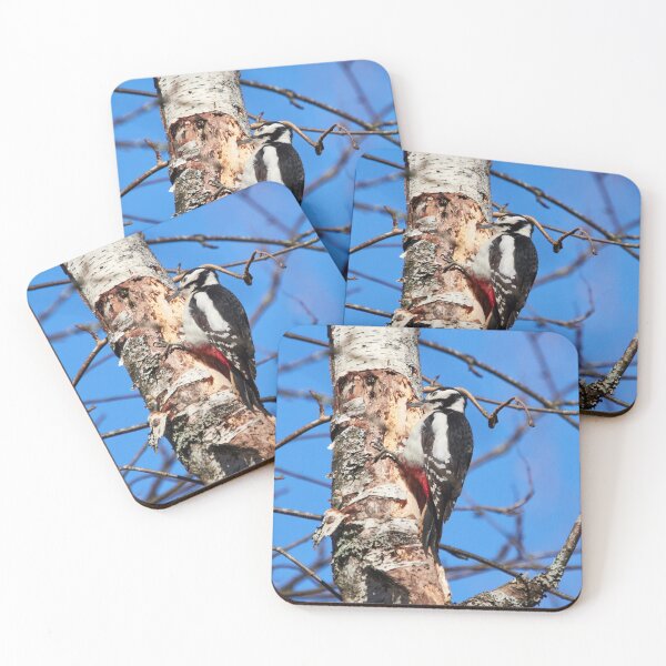 Item preview, Having the headache. Great spotted woodpecker designed and sold by Jouko Lehto Photography.