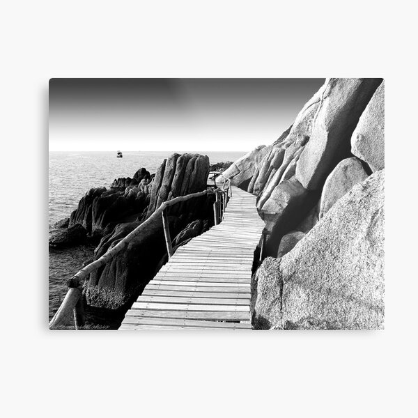 Staggering Wooden Path in Black and White Metal Print