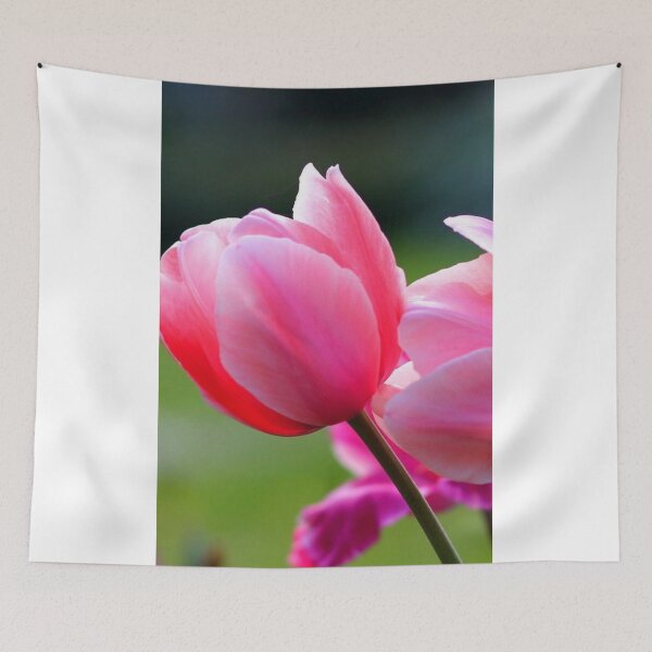 Item preview, Pink designed and sold by Parizo.