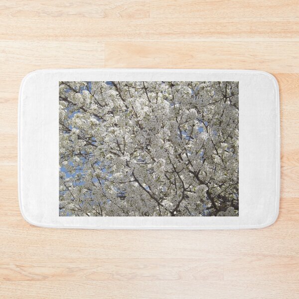 Item preview, Spring Colors, Jersey City, New Jersey designed and sold by lenspiro.