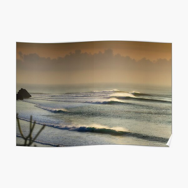 White Peacock Bird Ocean Sea View Flowers Garden Poster Repro FREE SHIPPING
