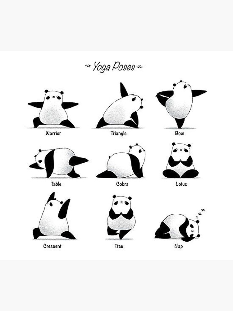 Panda striking different Yoga poses Photographic Print for Sale by