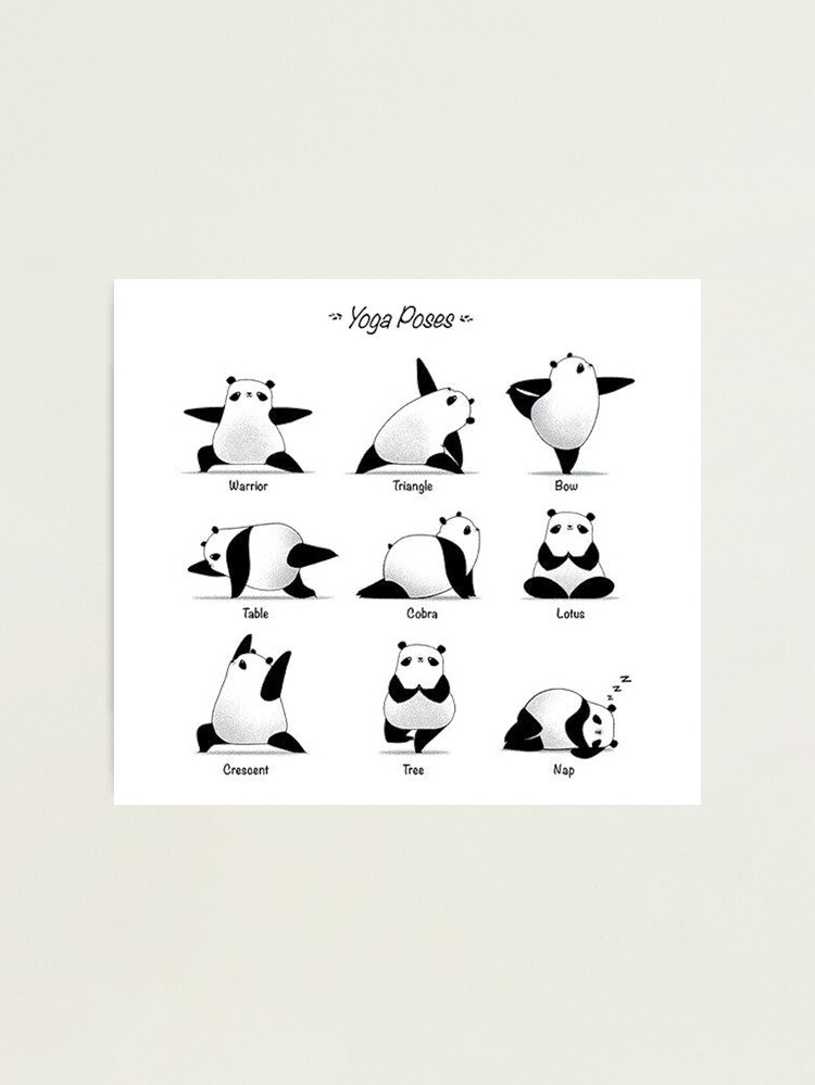 Panda striking different Yoga poses Photographic Print for Sale by