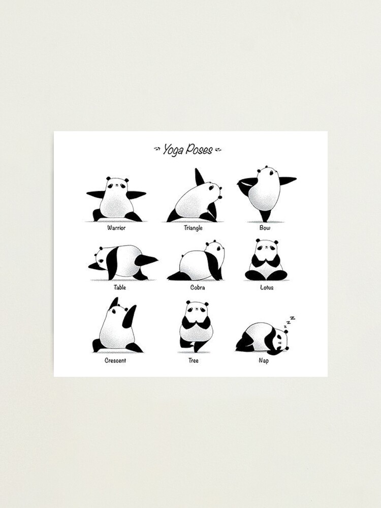Panda striking different Yoga poses Photographic Print for Sale by