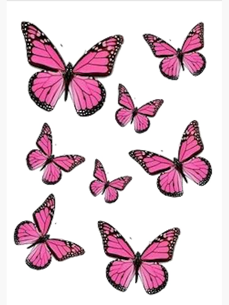 Pink Butterfly Sticker | Poster