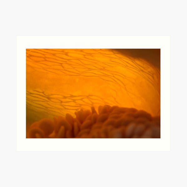 glowing Art Print