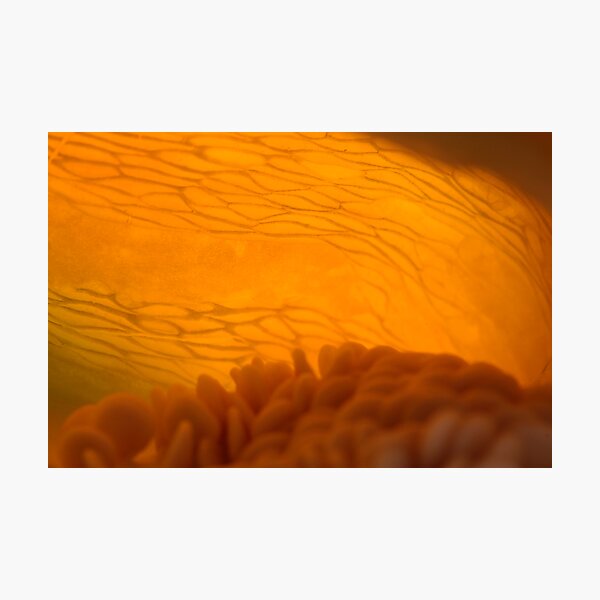 glowing Photographic Print