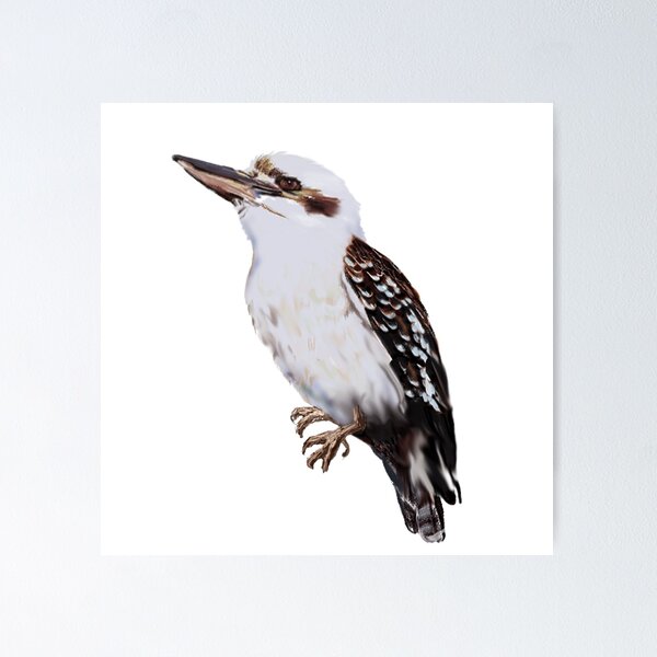 Item preview, Kookaburra designed and sold by lycawi.