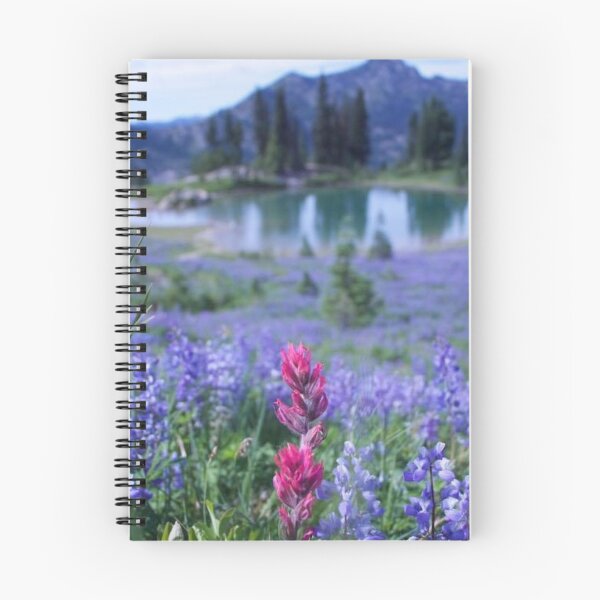 Item preview, Naches Peak Loop Washington  designed and sold by PeterProtozoa.