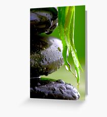 Wellness Greeting Card