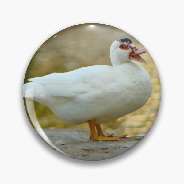 Item preview, Smiling Duck designed and sold by EyeMusic.
