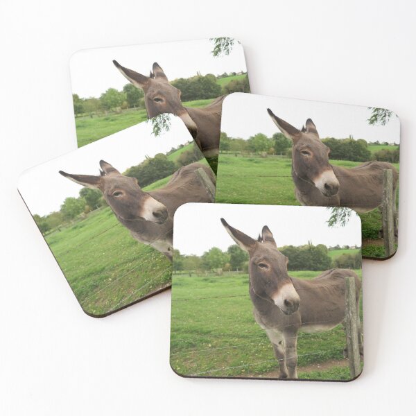 Item preview, Donkey Burro designed and sold by RBEnt.