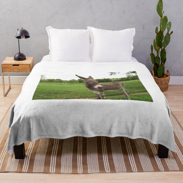 Item preview, Donkey Burro designed and sold by RBEnt.