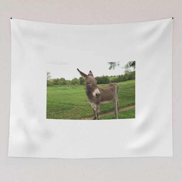 Item preview, Donkey Burro designed and sold by RBEnt.