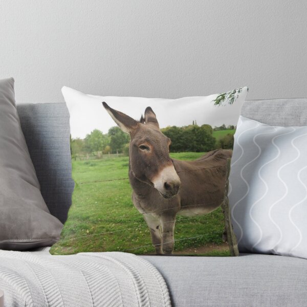 Item preview, Donkey Burro designed and sold by RBEnt.