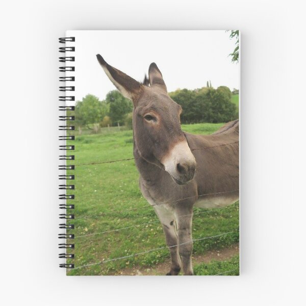 Item preview, Burro burro designed and sold by RBEnt.